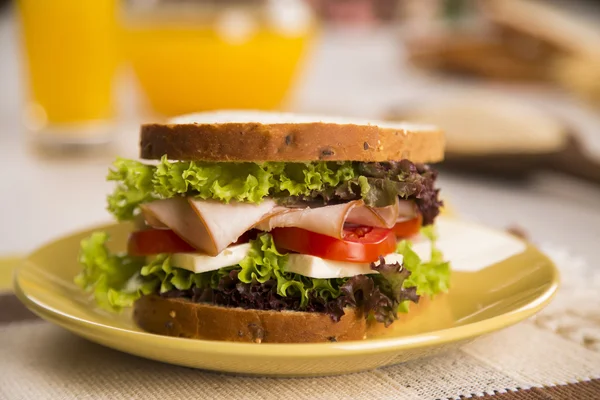 七面鳥の胸肉、トマト、レタスの白い平板サンドイッチ — ストック写真