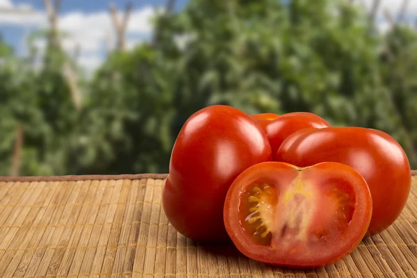 나무 배경 위에 일부 토마토입니다. 신선한 야채. — 스톡 사진
