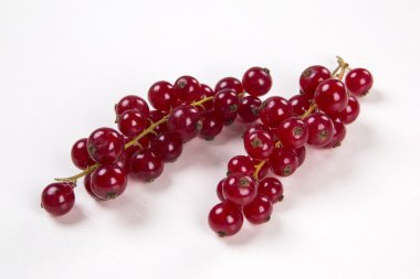 Beyaz arka plan üzerinde bazı bektaşi.