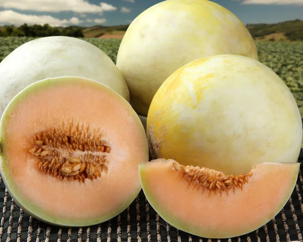 Algunos melones sobre una superficie de madera — Foto de Stock