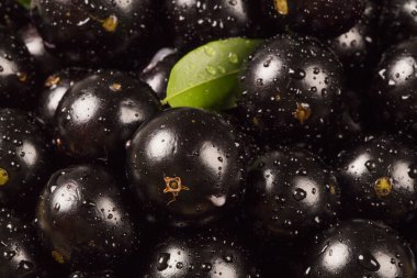 Berry jaboticaba in kom op houten tafel