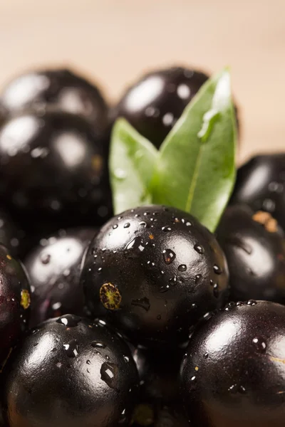 Berry jaboticaba in kom op houten tafel — Stok fotoğraf