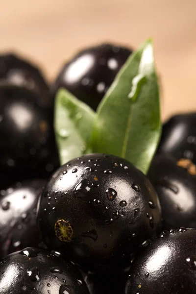 Berry jaboticaba in kom op houten tafel — Stok fotoğraf