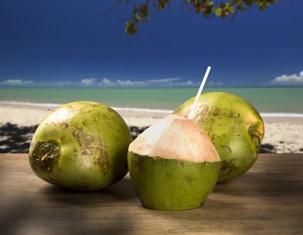 Coco em uma praia tropical no Brasil . — Fotografia de Stock