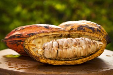 Ahşap bir yüzey üzerinde bazı cacaos