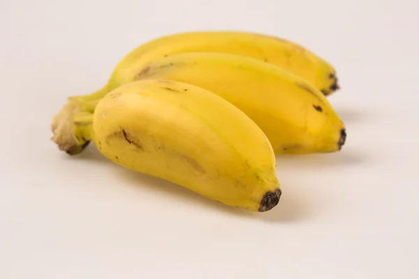 金香蕉一个分支 — 图库照片