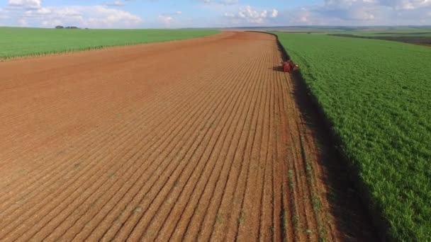 Colheita de cana-de-açúcar em dia ensolarado no Brasil - vista aérea — Vídeo de Stock