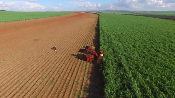 Zuckerrohrernte an sonnigen Tagen in Brasilien - Luftaufnahme — Stockvideo