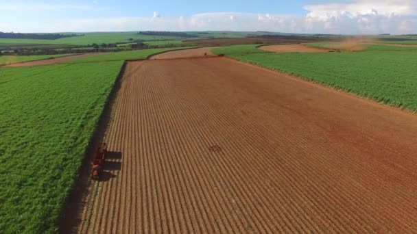 Suikerriet oogst in zonnige dag in Brazilië - luchtfoto — Stockvideo
