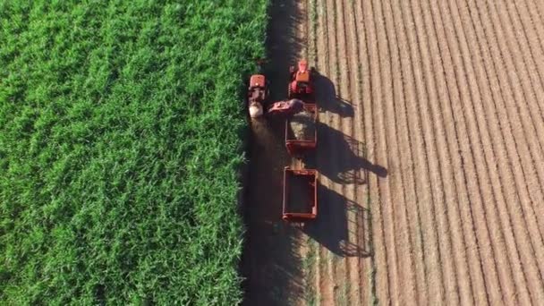 Cosecha de caña de azúcar en día soleado en Brasil - vista aérea — Vídeo de stock