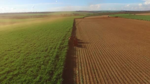 Zbiorów trzciny cukrowej w słoneczny dzień w Brazylii - widok z lotu ptaka — Wideo stockowe