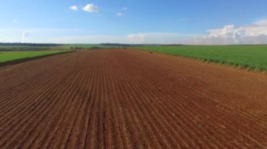 güneşli günde şeker kamışı hasat Brezilya - havadan görünümü