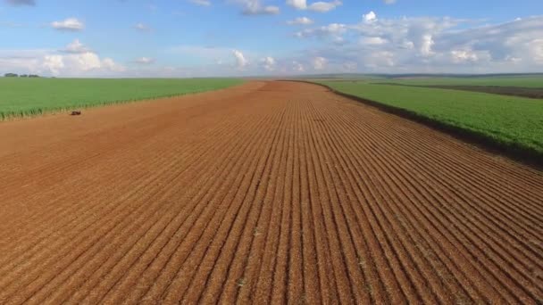 Skörden av sockerrör i solig dag i Brasilien - Flygfoto — Stockvideo