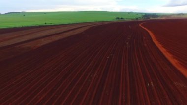 Şeker kamışı Brezilya - canavial dikim havadan görünümü