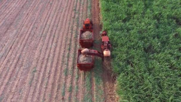 Şeker kamışı hasat güneşli gün içinde Brezilya - havadan görünümü - Canavial — Stok video
