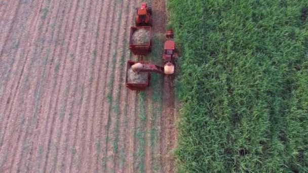 Colheita de cana-de-açúcar em dia ensolarado no Brasil - Vista aérea - Canavial — Vídeo de Stock