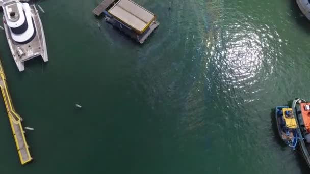 Luchtfoto Saco da Ribeira in Ubatuba beach - North coast in de staat Sao Paulo - Brazilië — Stockvideo