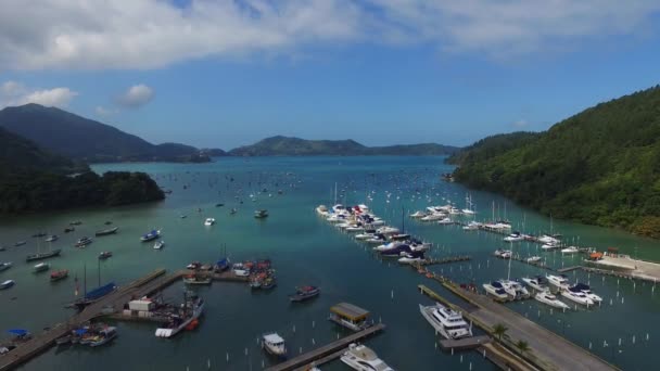 Αεροφωτογραφία Saco da Ribeira στη Βραζιλία Ubatuba παραλία - βόρεια ακτή στο Σάο Πάολο κράτους- — Αρχείο Βίντεο