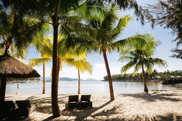 Pantai resor dengan telapak tangan tropis — Stok Foto