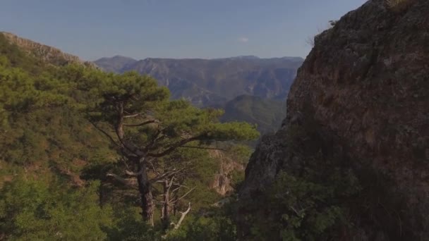 Meisje op de piek van de berg in Bosnië — Stockvideo