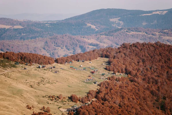 Gouden herfst bos landschap — Stockfoto