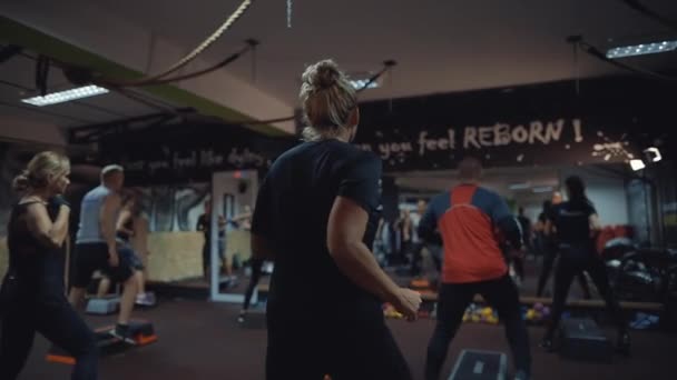 Stap en Pomp workout groep — Stockvideo