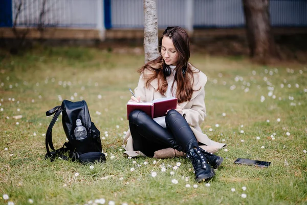Kız öğrenci dışarıda gezici internette sanal öğrenim görüyor. — Stok fotoğraf