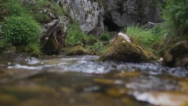 Rio no fluxo de montanhas — Vídeo de Stock