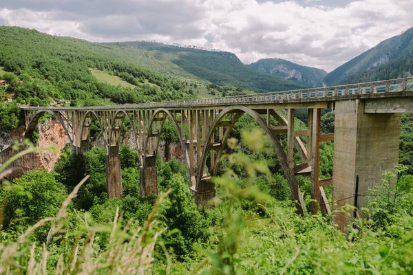 Beautiful bridge over a river in mountains of Montenegro. Tara Bridge — Stock Photo, Image