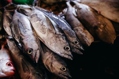 Çiğ balık dilimlenmiş ve sokak pazarında kesti