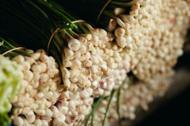 Satılık Market yeşil soğan