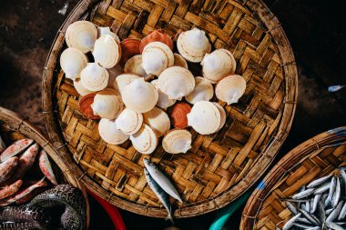 Cockle ve deniz tarağı çiğ deniz mahsulleri Asya street Market