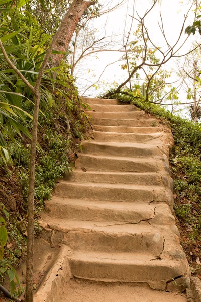 Escaleras en la selva — Foto de Stock
