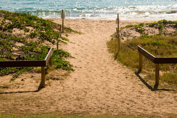 Pasarela Sandy Beach — Foto de Stock