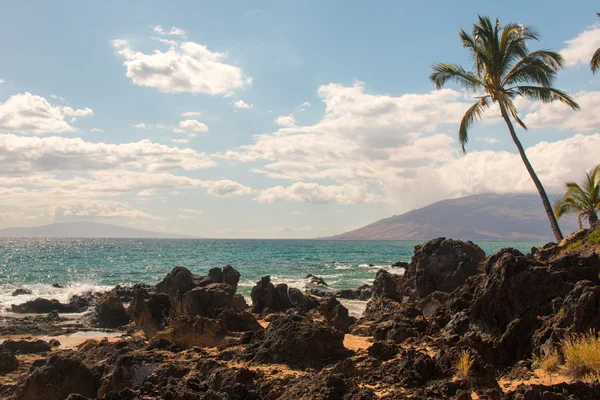 Maui strand och hav — Stockfoto