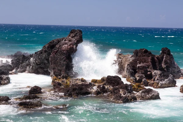 Maui Ocean stenar — Stockfoto