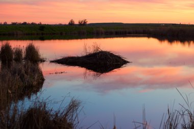 Gün batımında kunduz evi