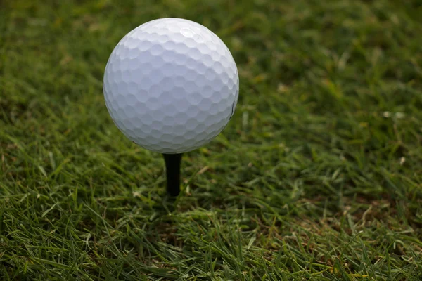White Golfball on a Tee — Stock Photo, Image