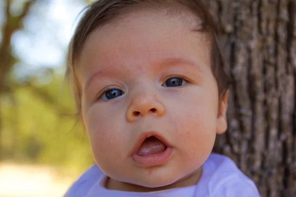 Close-Up bebek — Stok fotoğraf