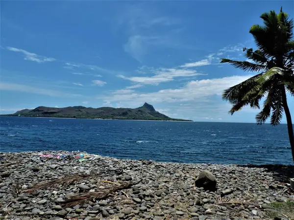 Flores Endonezya 'daki katırlar güzel bir plajı ve güzel bir nüfusu olan küçük bir adadır. 