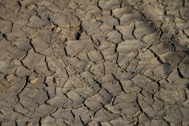 Yazın bitkisiz kuru bir gölün dibinde.