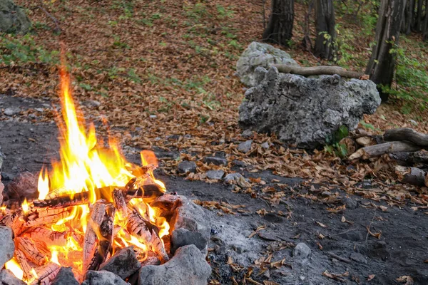 Ormanda şenlik ateşi ve arka planda kayalar var.                    