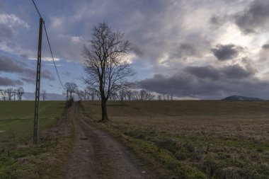 Ağaçların yanında yokuş yukarı uzanan toprak bir yol.