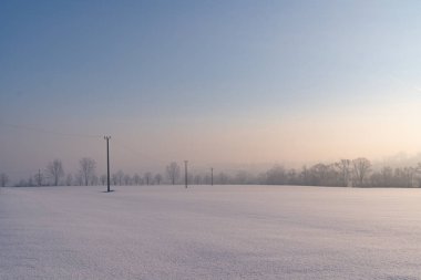 Kış, iklimsel gün doğumu ufukta sisli ağaçlar