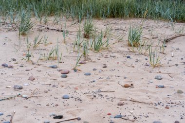 Kumlu bir sahil, yeşil çimlerle kaplı ve deniz tarafından dağılmış renkli çakıl taşları var.