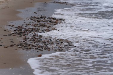 Baltık Denizi 'nin kumlu sahilinde küçük çakıl taşları