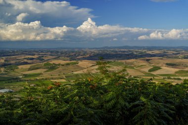 Güneşli kırsal alan geniş görünümü, zıt alanlar, yemyeşil önplan, manzaralı Toskana gökyüzü.