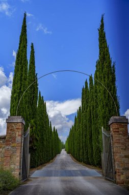 Açık tuğla kapılar sizi selvi kaplı bir bulvarda karşılar..