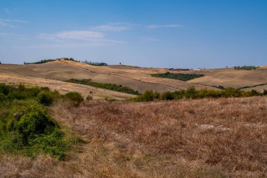 Rolling dry hills in summer light with blue sky, rural landscape and distant trees.