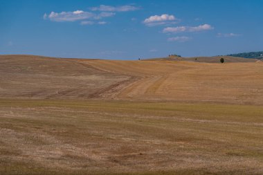 Val d Orcia 'nın geniş altın tarlaları Tuscany yazında dağınık bulutlarla mavi gökyüzünün altında uzanıyor.